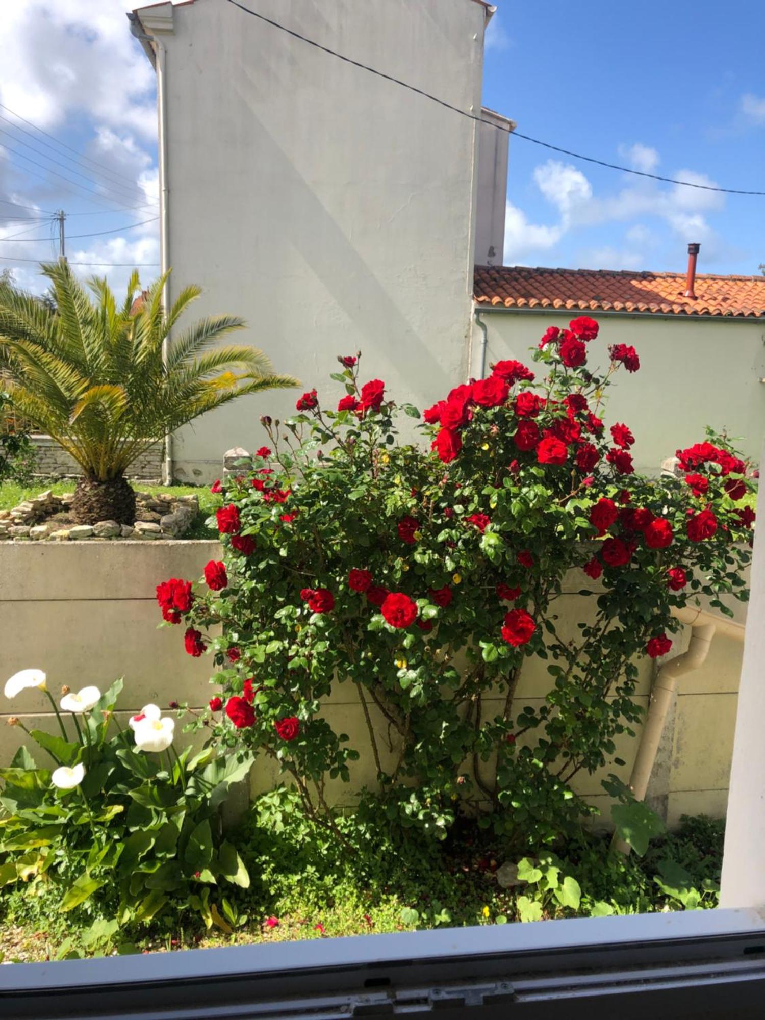La Sirene Apartment Grand-Village-Plage Bagian luar foto